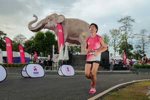 BIB: 
                            <button type="button" onclick="openModal(26528541)" class="btn btn-primary btn-sm float-right btn-popup" data-toggle="modal" data-target=".modal-high-quality">
                        <i class="fas fa-shopping-cart"></i> Add to Cart
                    </button>
                                            <button type="button" onclick="isThisMe(26528541, true)" class="btn btn-success btn-sm float-right btn-popup btn-isme hidden" data-toggle="tooltip" data-placement="bottom" title="นี่คือรูปของคุณใช่ไหม คลิกที่นี่เพื่อเอาเข้าอัลบั้ม">
                        <i class="fas fa-plus"></i> Add to album
                    </button>
                    <button type="button" onclick="isThisMe(26528541, false)" class="btn btn-warning btn-sm float-right btn-popup btn-isnotme hidden">
                        <i class="fas fa-ban"></i> Remove from album
                    </button>